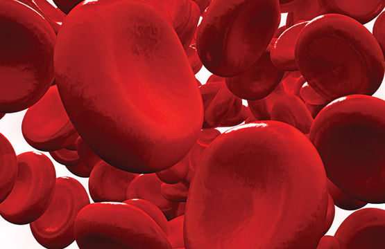 Anemia la copii si adulti 